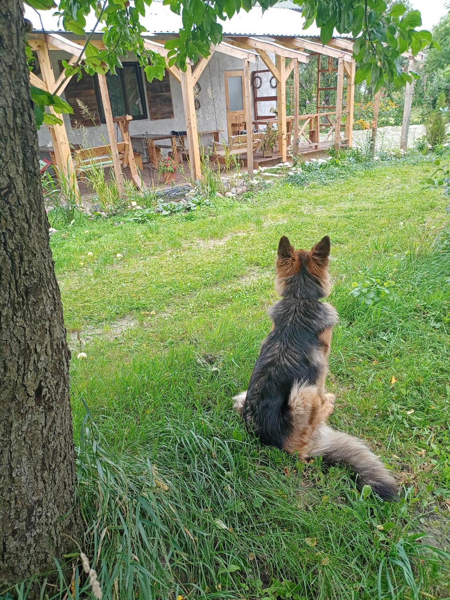 Agroturystyka "Pod Bluszczem" Krasnobrod Ngoại thất bức ảnh